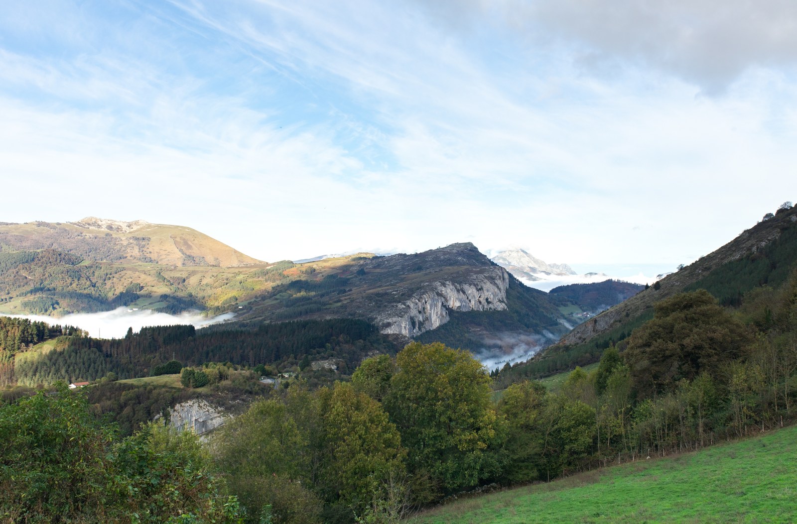 Natura-17.jpg
