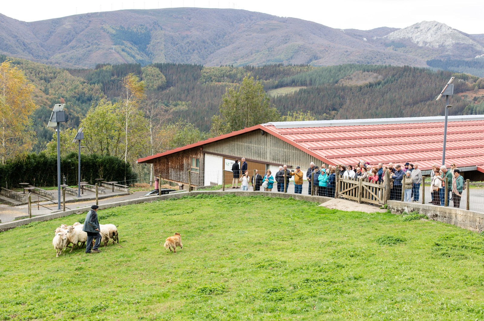 gomiztegi-4.jpg