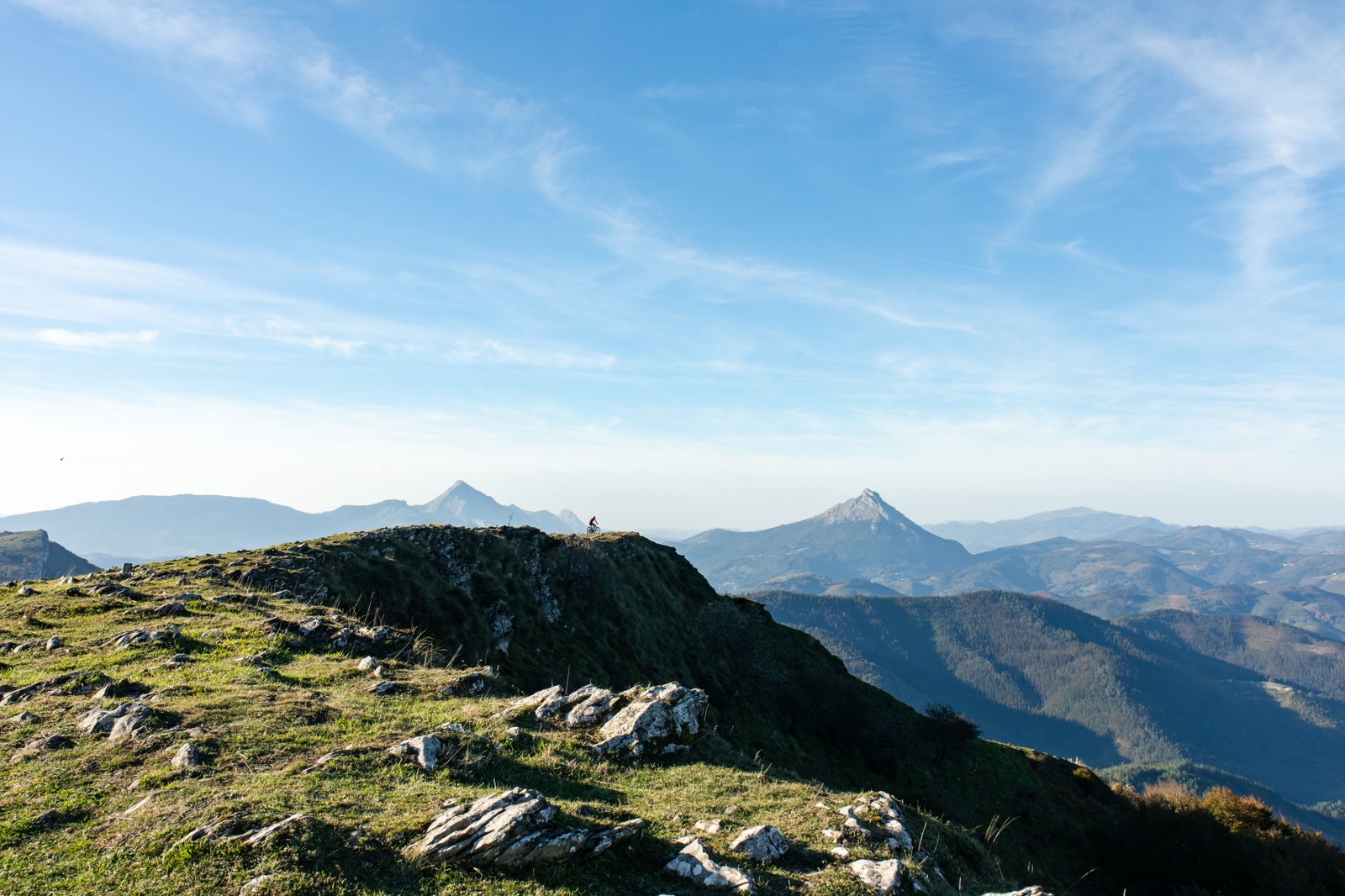 BelarAloña-5.jpg