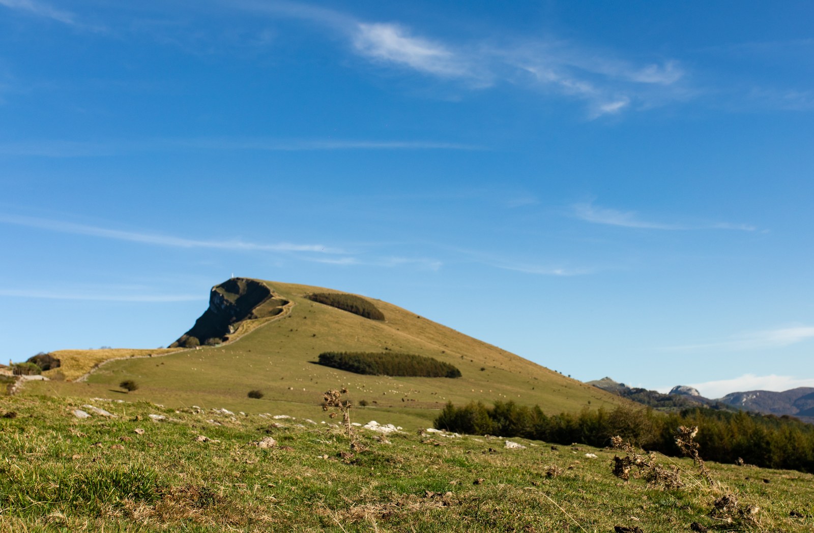 BelarAloña-9.jpg