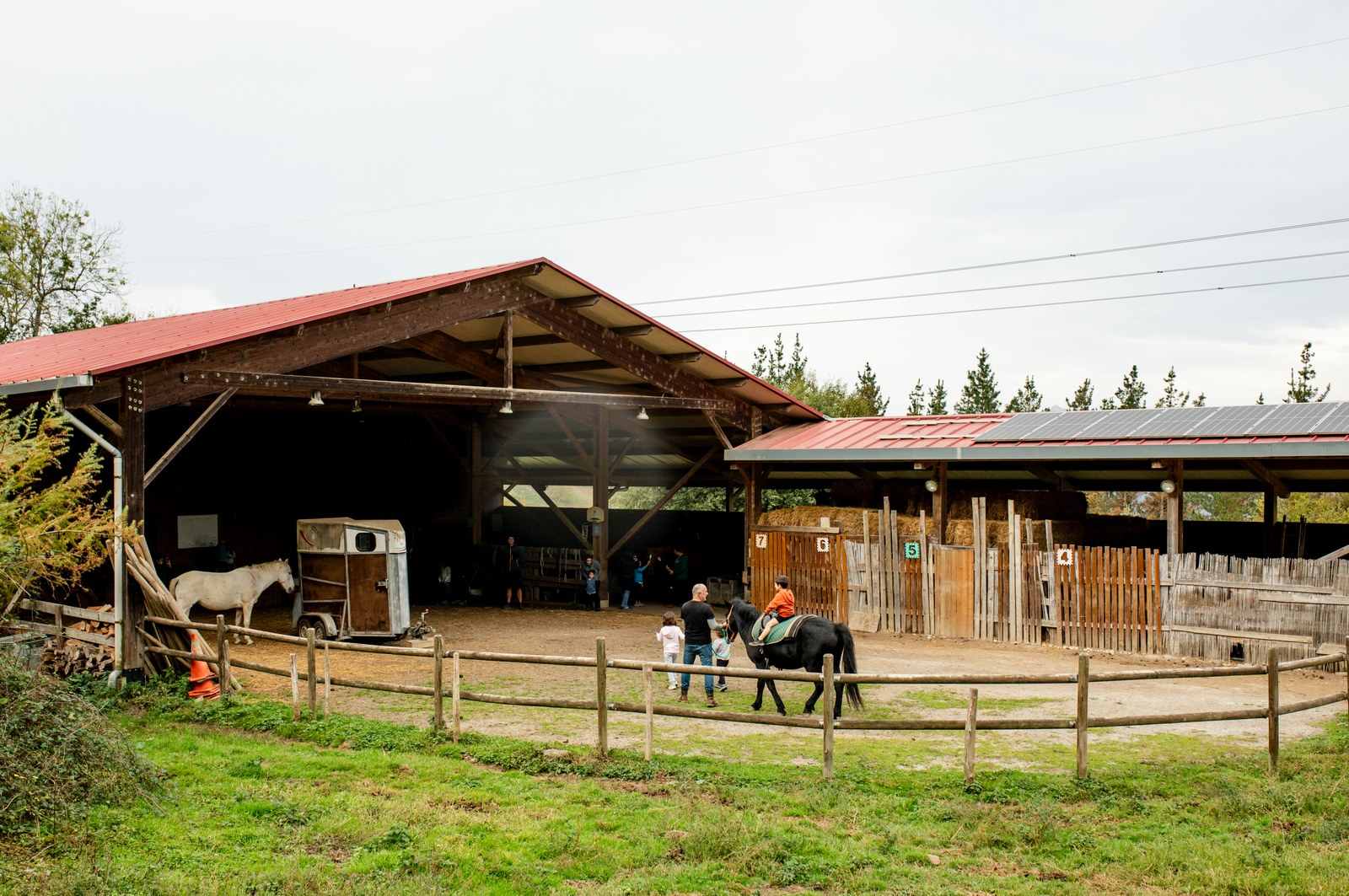 Pottokaleku-8.jpg