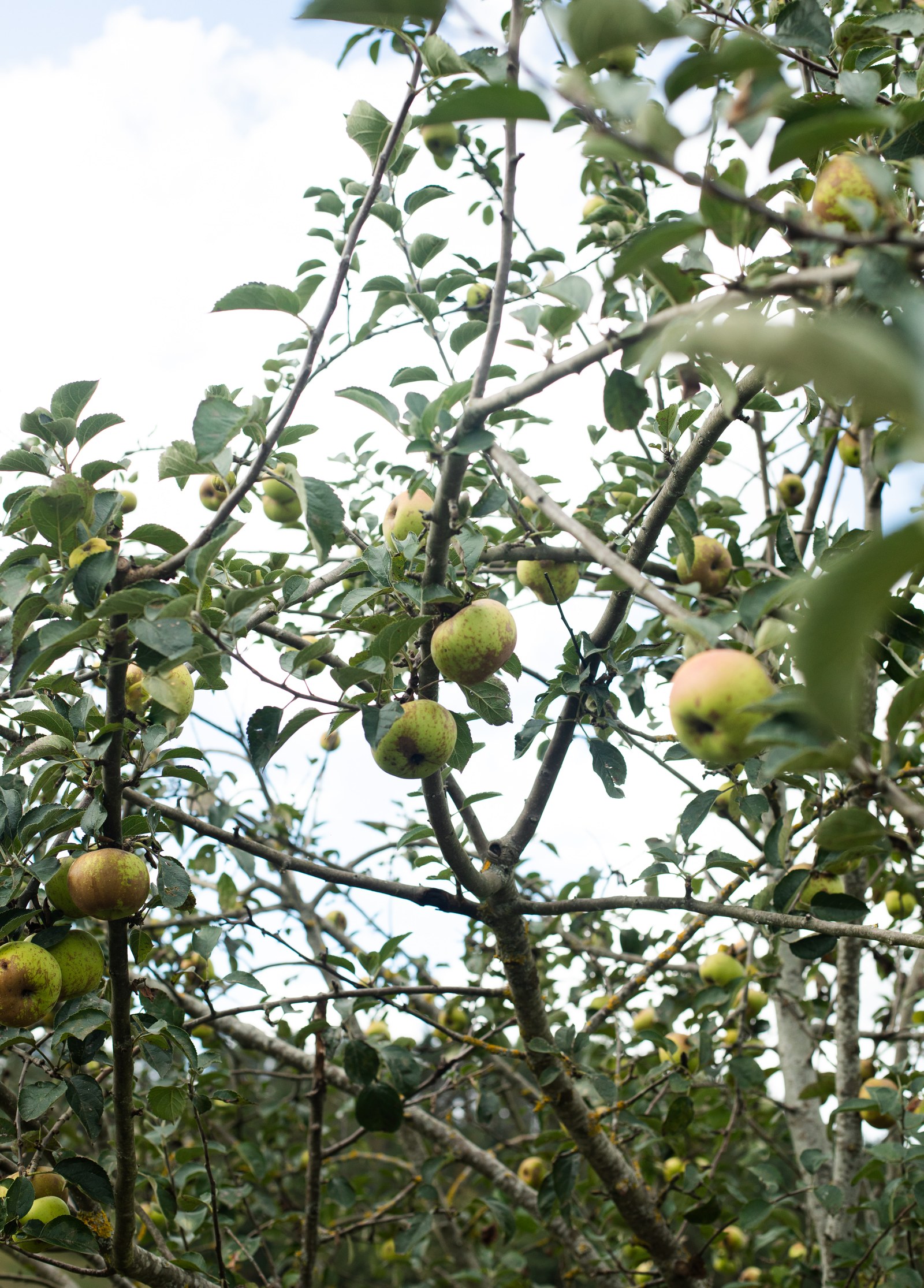 natura-4.jpg