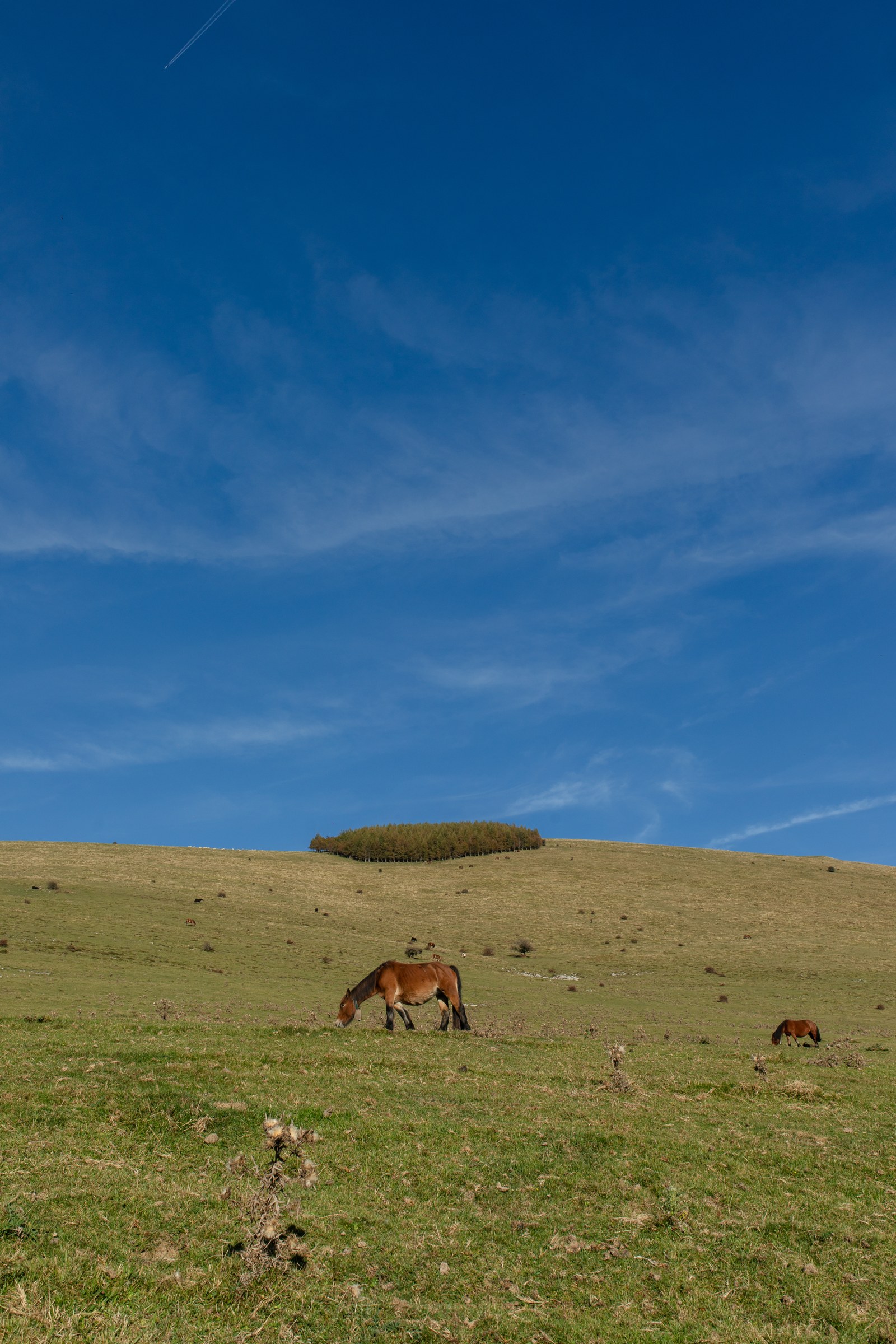 BelarAloña-35.jpg