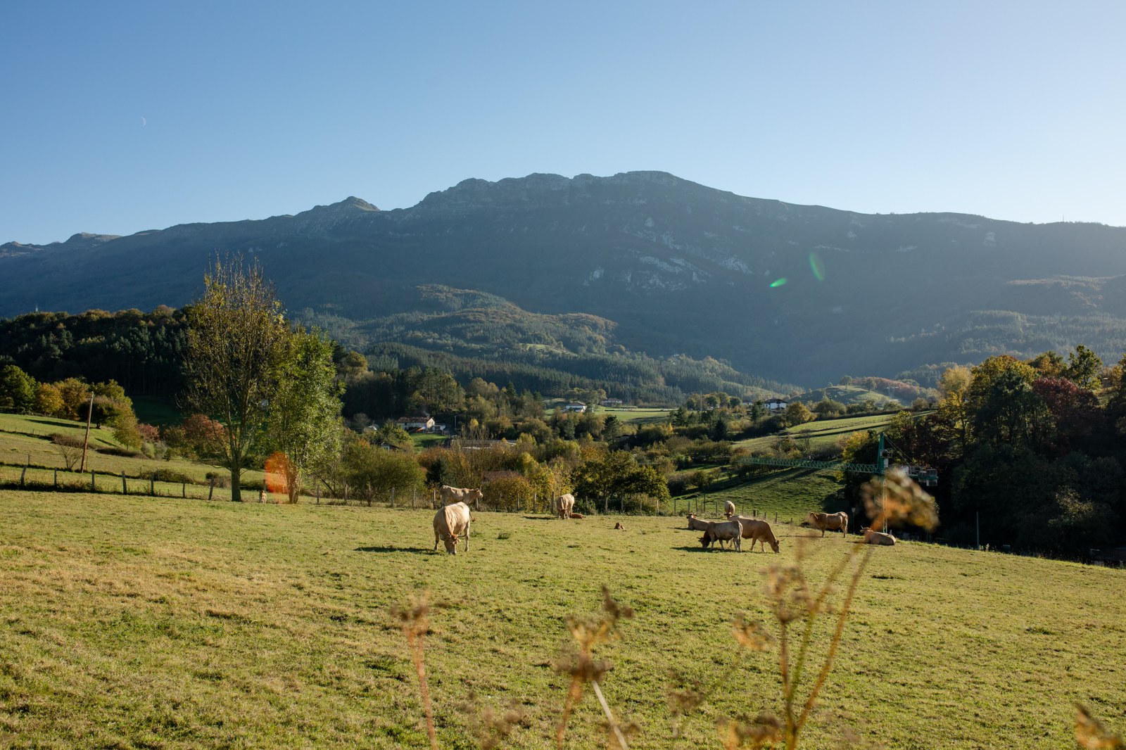 Natura-30.jpg
