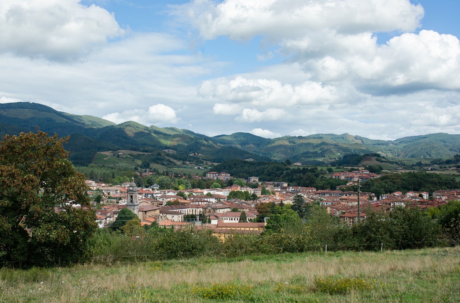 natura-3.jpg